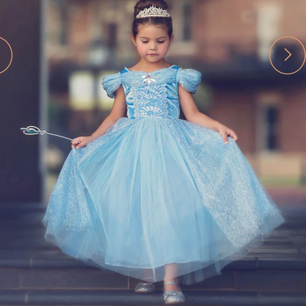 Trish Scully Blue Princess Gown